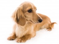 03シャーロット01_J9A5917-Edit 03シャーロット01_J9A5917-Edit