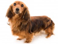 tn13サーチンcs_K9A1790