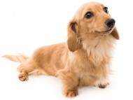 tn09コメロ_K9A1720 tn09コメロ_K9A1720