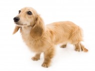 ホタルkk1931 ホタルkk1931