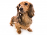 02アンジー_J9A5898-Edit 02アンジー_J9A5898-Edit