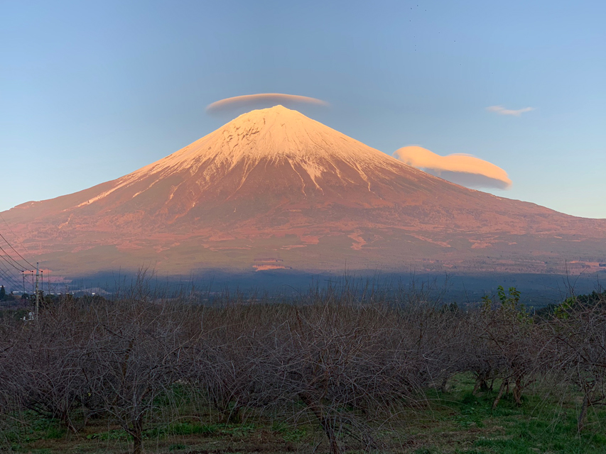 今日の富士山