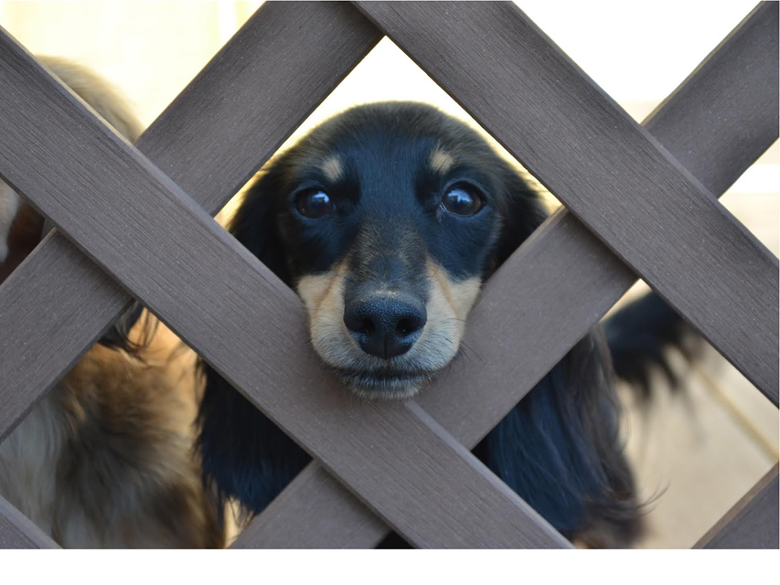 フジフォト大賞2019 フジフォト大賞2019