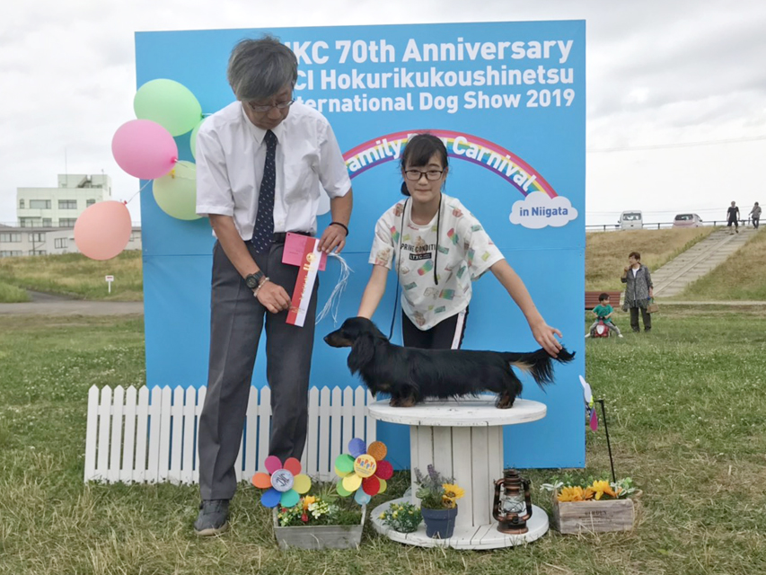 【ドッグショー】FCI北陸甲信越インターナショナルドックショー アバロン リザーブウィナーズ メジャーカードをゲット 【ドッグショー】FCI北陸甲信越インターナショナルドックショー アバロン リザーブウィナーズ メジャーカードをゲット
