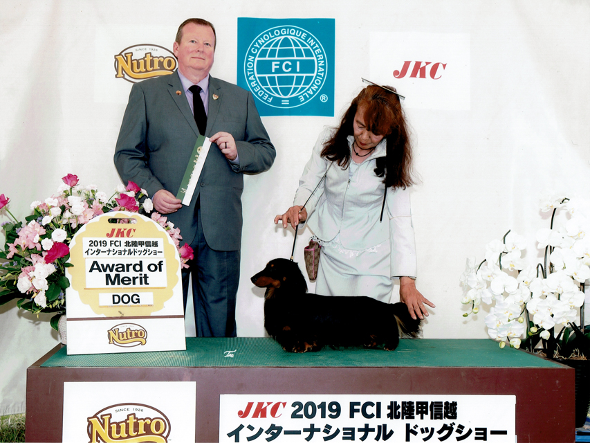 【ドッグショー】FCI北陸甲信越インターナショナルドックショー フレディ Awaed of Merit