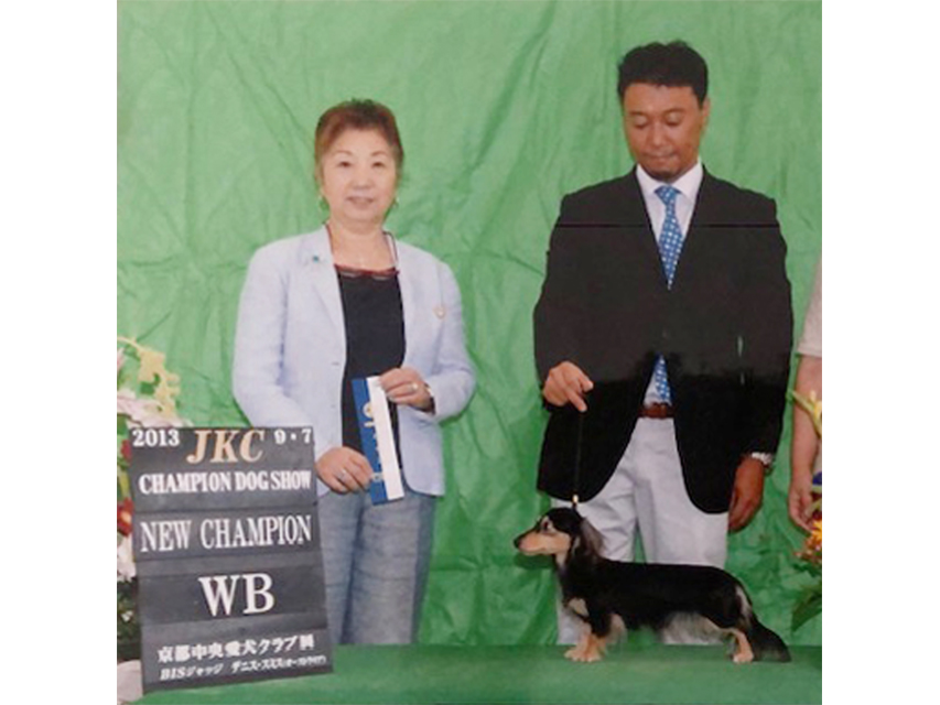 カニンヘンダックスフンド レイmt ブラッククリーム JKCチャンピオン