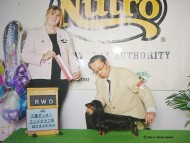 dachshund01 dachshund01