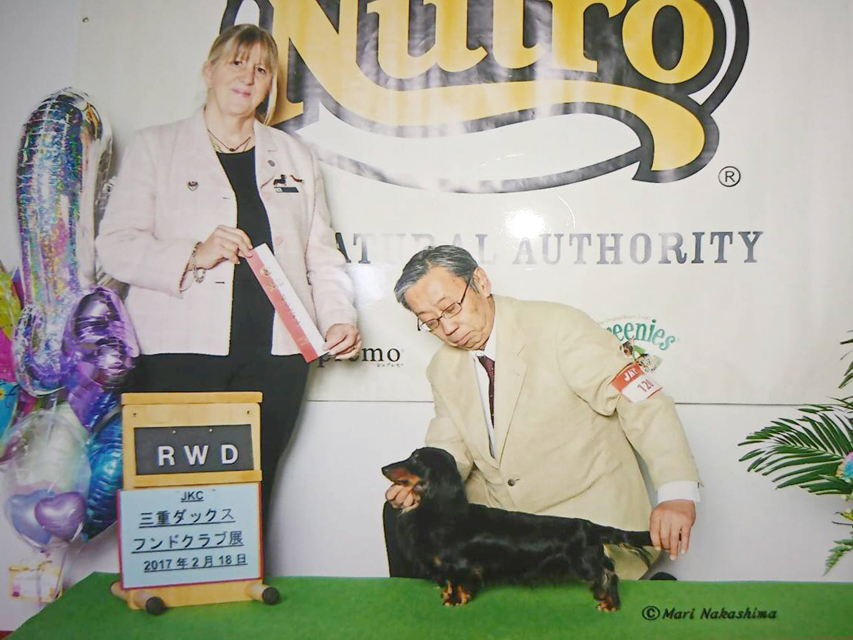 ライくん カニンヘン ブラックタン JKCチャンピオン