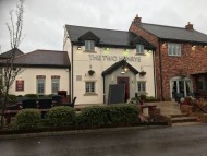 dachshund02 dachshund02