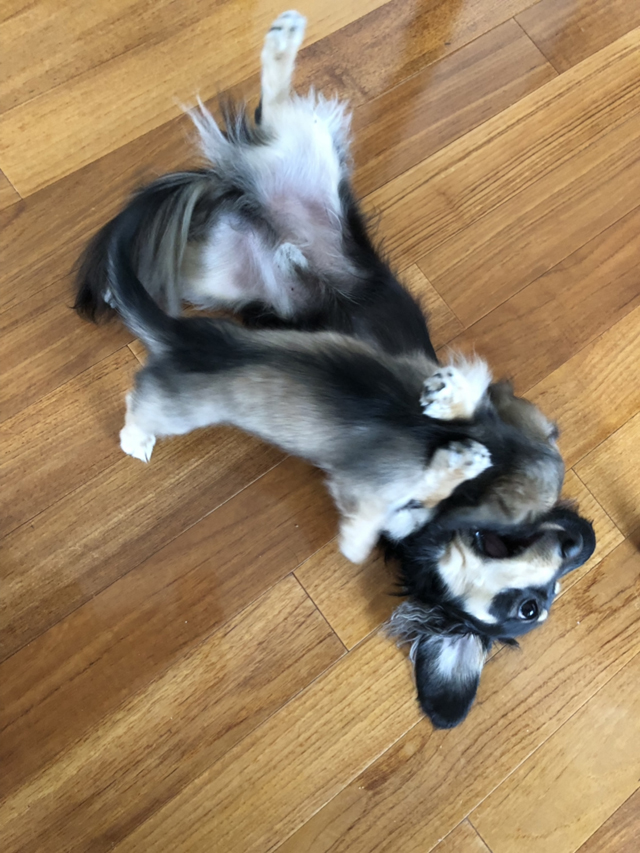 フジフォト大賞2019 フジフォト大賞2019