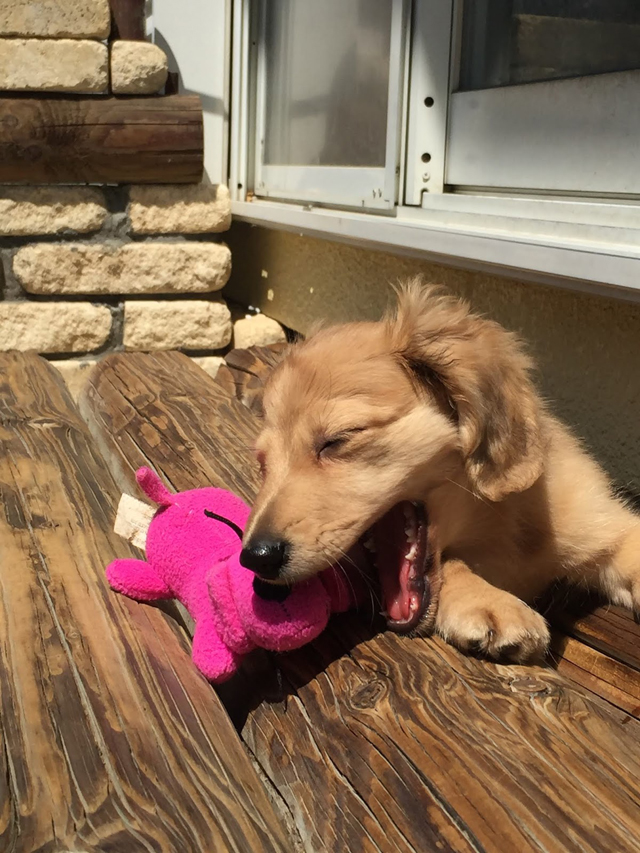 フジフォト大賞2019 フジフォト大賞2019