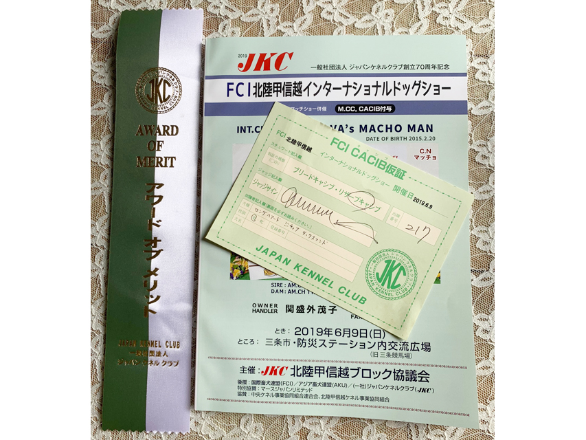 【ドッグショー】FCI北陸甲信越インターナショナルドックショー フレディ Awaed of Merit