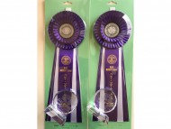 dachshund03 dachshund03