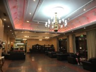 dachshund04 dachshund04