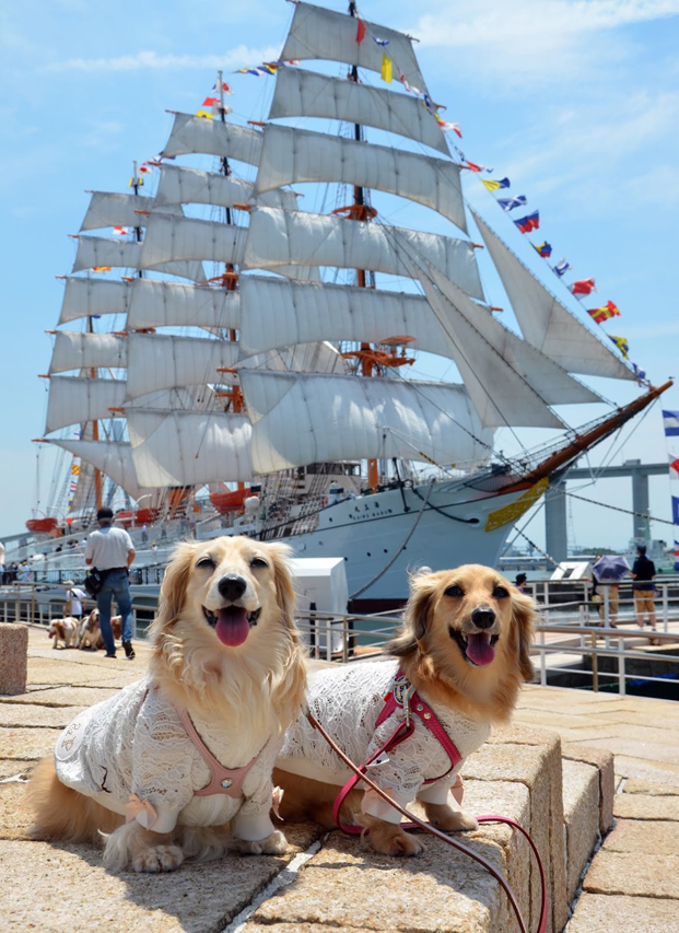 フジフォト大賞2019 フジフォト大賞2019