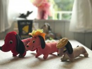 dachshund05 dachshund05