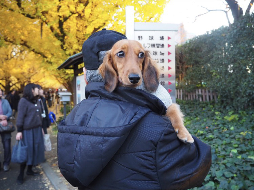 フジフォト大賞2019 フジフォト大賞2019