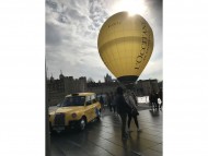 dachshund05 dachshund05