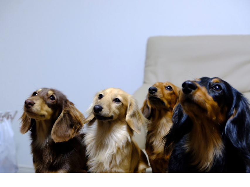 フジフォト大賞2019 フジフォト大賞2019