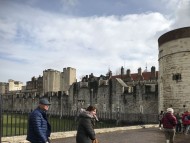 dachshund06 dachshund06