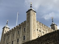 dachshund07 dachshund07