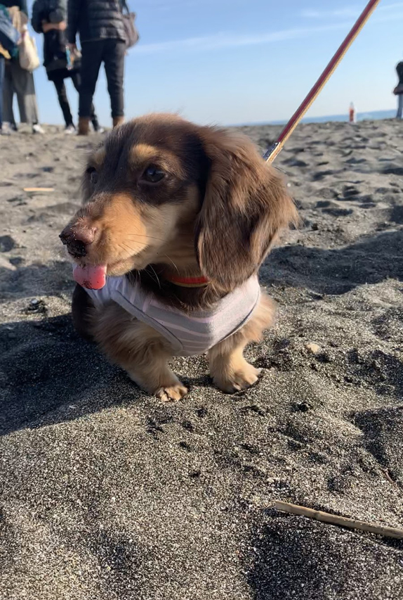 フジフォト大賞2019 フジフォト大賞2019