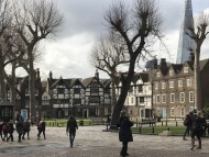 dachshund11 dachshund11