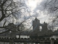 dachshund13 dachshund13