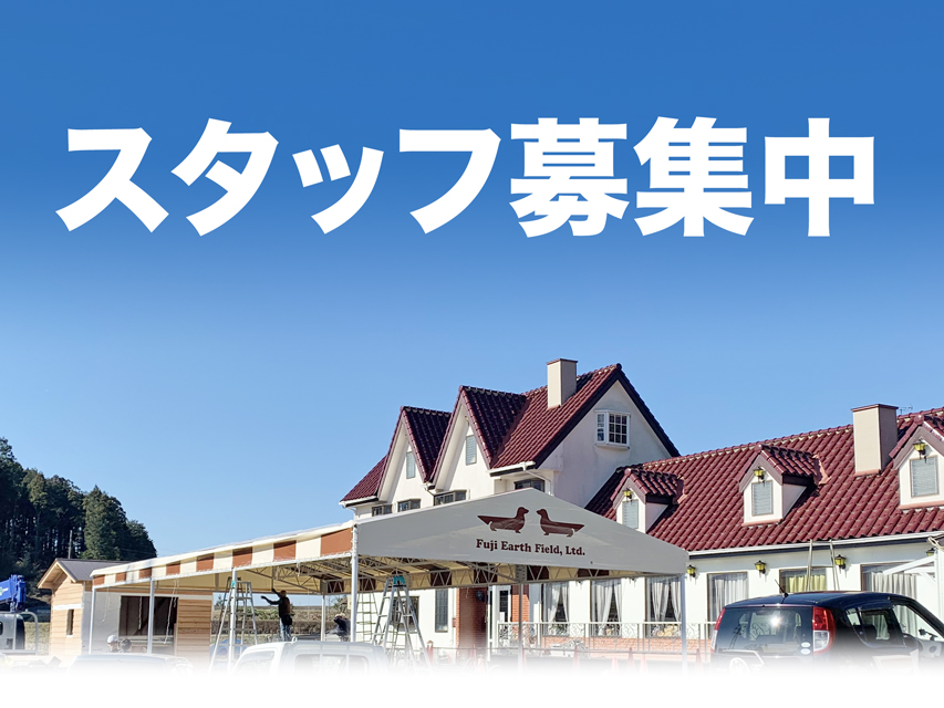 スタッフ募集中