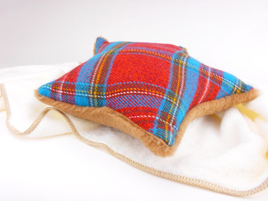 カニンヘンダックスフンド チャーム & ブルースの子犬 レッド 女の子