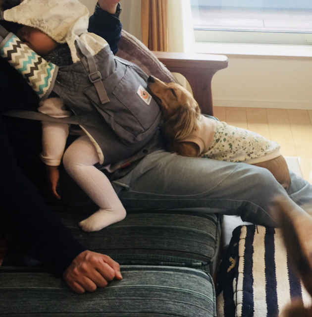 フジフォト大賞2018 自由作品賞 フジフォト大賞2018 自由作品賞