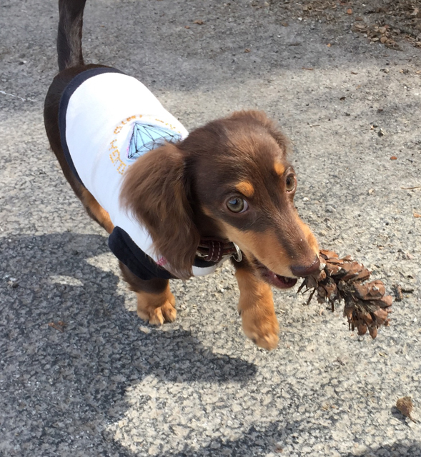 フジフォト大賞2018 佳作 フジフォト大賞2018 佳作