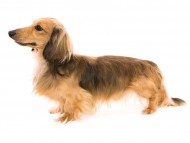 04ジャン_J9A5958-Edit