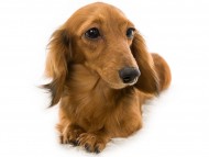 パン.2tn_E5A4275-Edit