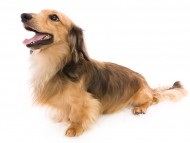 04ジャン_J9A5945-Edit