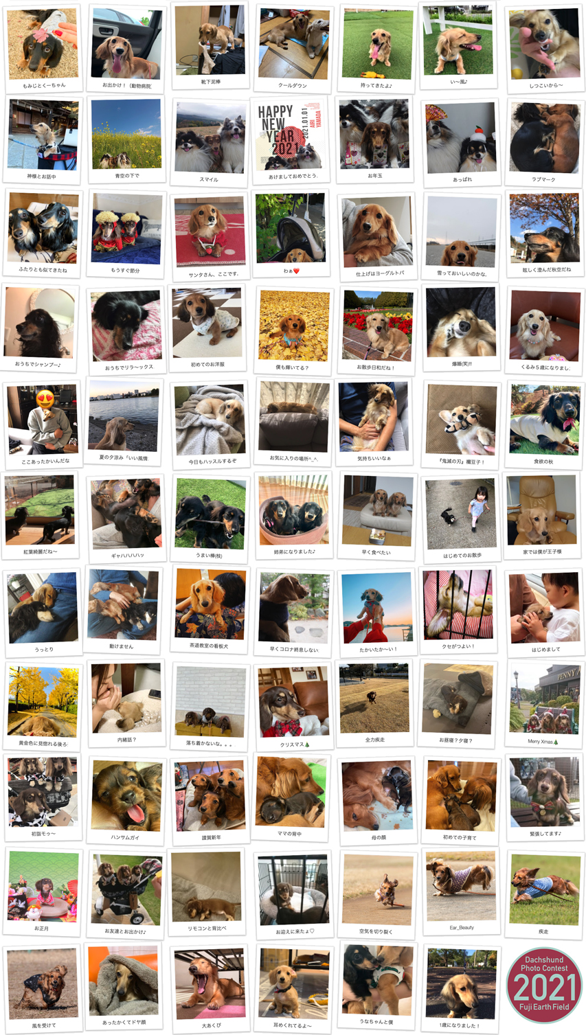 【フジフォト大賞2021】フジアースフィールド・フォトコンテスト 第9回 【フジフォト大賞2021】フジアースフィールド・フォトコンテスト 第9回