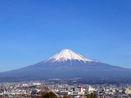 ブリーダー　犬舎紹介