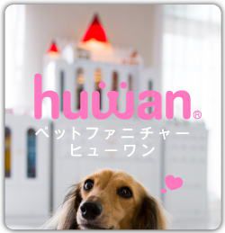 ユジン カニンヘンダックス、ダックスフンド 女の子 シューデットクリーム ユジン カニンヘンダックス、ダックスフンド 女の子 シューデットクリーム