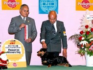 ミニチュアダックス STAR FLEET JP AQUARION ミニチュアダックス STAR FLEET JP AQUARION