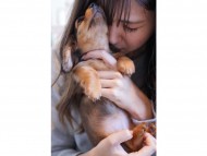 kaninchen-dachshund180