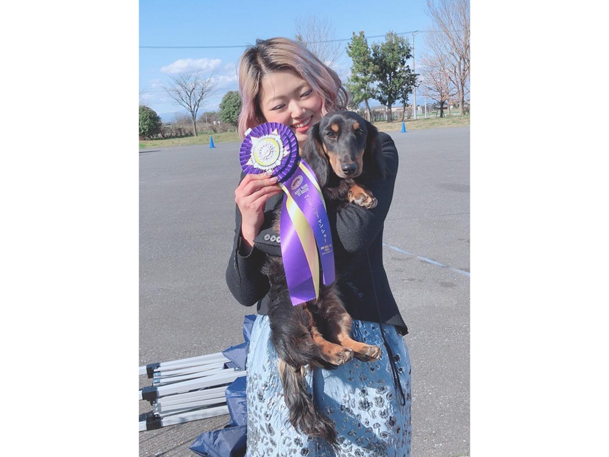 【ドッグショー】ジャスティン君 パピー ベストインショー