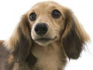 o0631066113211413865