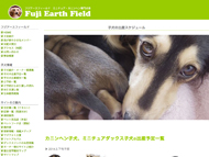 子犬の出産スケジュール 子犬の出産スケジュール