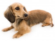 tn02KT_J9A1018 tn02KT_J9A1018